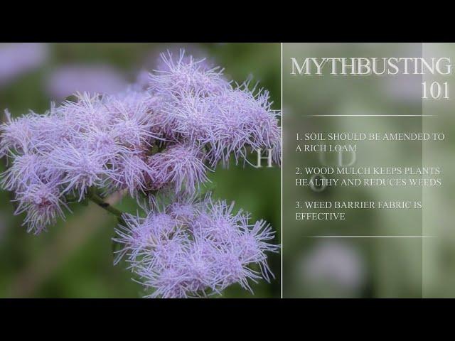 Garden Mythbusting 101 -- Part 1