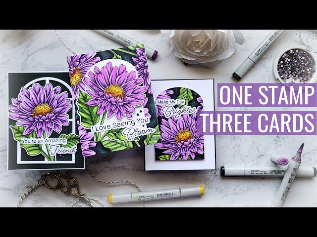 One Stamp, Three Cards: Beginner Friendly Copic Coloring, A New Stamp Set