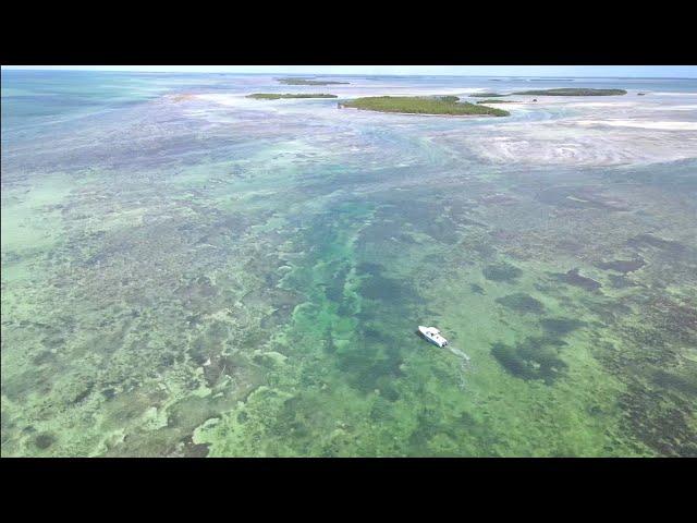 HIT BOTTOM WHILE EXPLORING KEY WEST BACKCOUNTRY