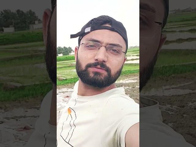 Beat the Heat
