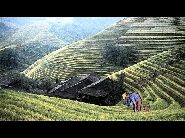 "A Chinese Farmer Story" ~ Alan Watts