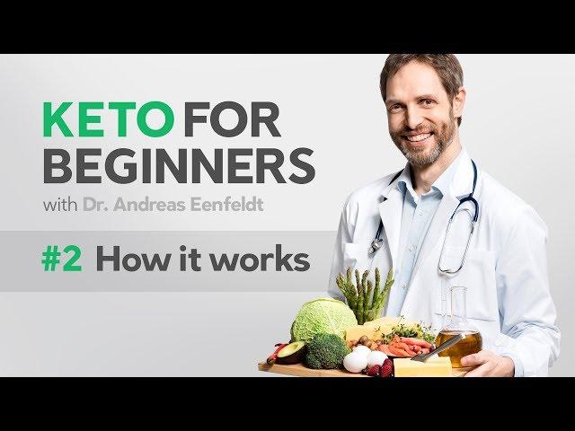 A keto diet for beginners, part 2: how it works