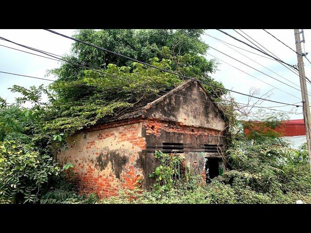 PEOPLE Think we're CRAZY to mowing overgrown LAWN and CLEANING this 120YEAR abandoned HOUSE for FREE