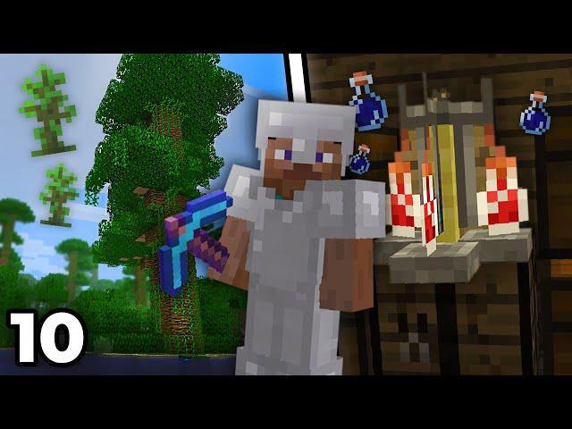 Майнкрафт v1.2.1 // Джунгли и Зельеварение! // Minecraft Let's Play #10