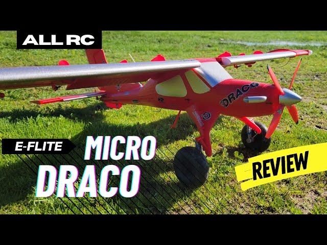 Maiden: E-Flite Micro Draco