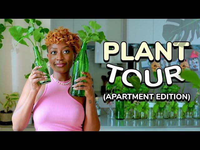 Apartment Plant Tour: 40+ Plants + Tips from a plant mom