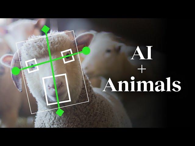 The unexpected impact of AI on animals | Peter Singer