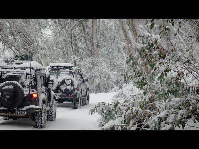 Victorian High Country 2019 - Track II