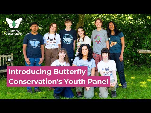 Introducing Butterfly Conservation's Youth Panel