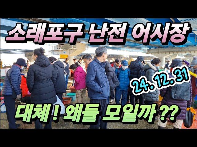 소래포구 난전 어시장 세상에 4마리 단돈X! 진짜 막 퍼주는 시간대? 제발 이때 오세요! 긴급공개!korean fish market channel