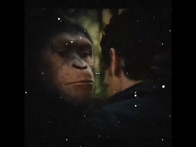 Обезьяна и Борис Лов | Monkey and Man #борислов  #memsfromtiktok  #мемыизтиктока #memes