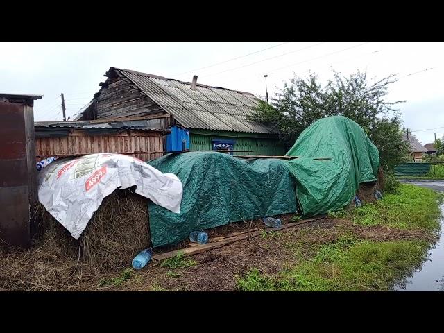ПОГОДА НЕ ДАЕТ НЕЧЕГО ДЕЛАТЬ#хозяйство #лпх