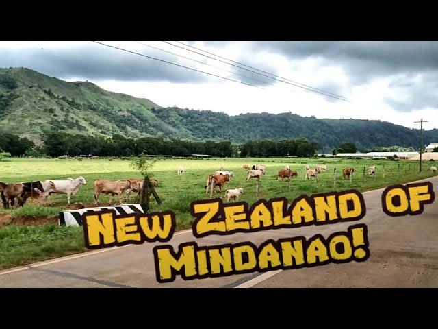 BUKID LIFE | NEW ZEALAND OF MINDANAO | BEAUTIFUL SCENERY |