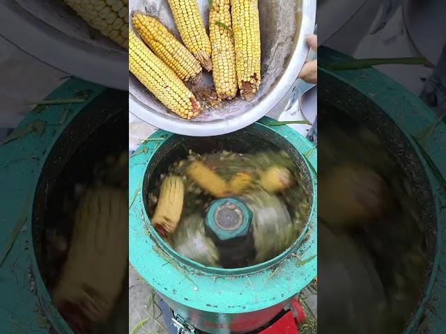 New Pellet Machine for Animal Feed