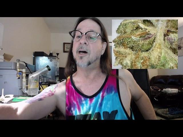 Rosin Making 101 by your Hurtin Hippie