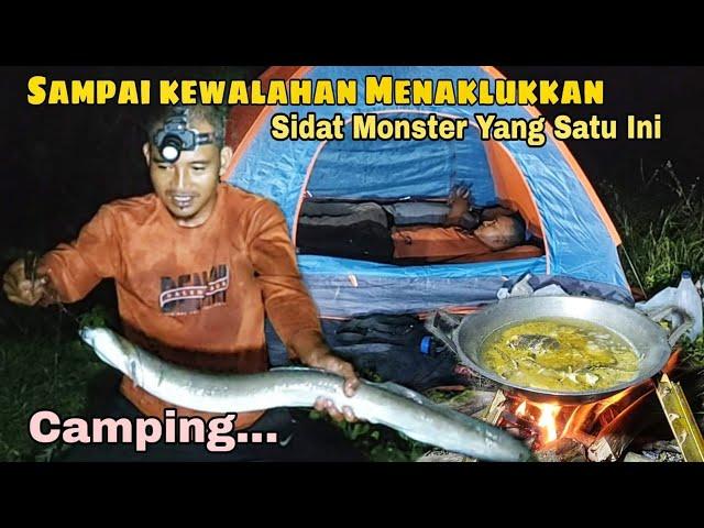 CAMPING SURVIVAL || bikin kaget,...tarikan sidat monster saat makan malam