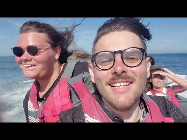 Whale Watching: California to Mexico!