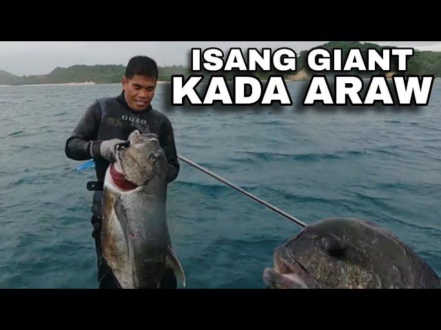 MALALIM O MABABAW ANG SISID LAGING MAY NAPAPANANG GIANT | BIYAYA NG DAGAT  #dodoymontuya