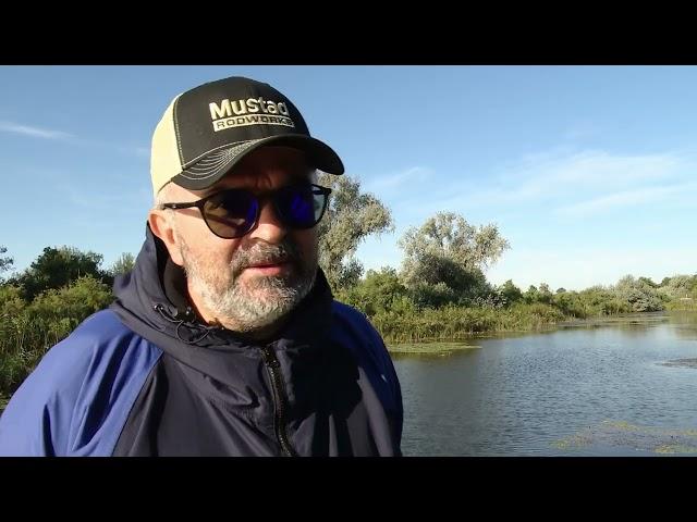 Radu Boloca - Arrow International (Arrow, Garmin, Daiwa, Mustad, Jackall) sponsor la DDPC 2022