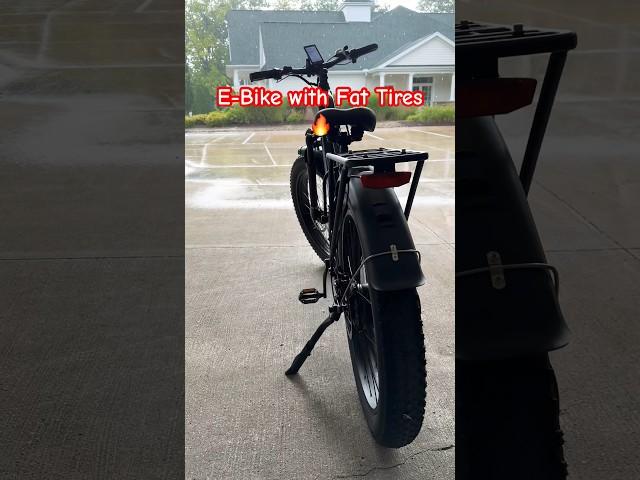 Any e-bike enthusiasts ?️