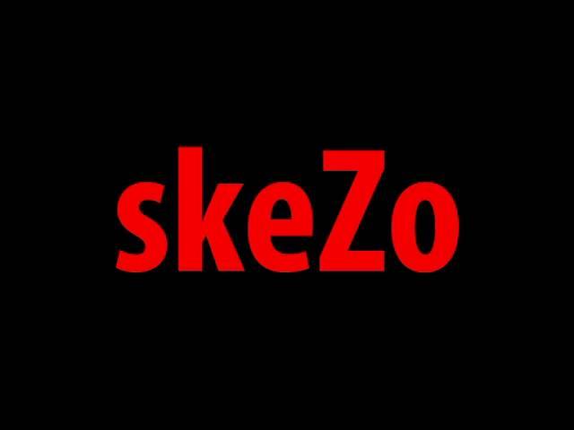 SkeZo - Frozen Wetlands