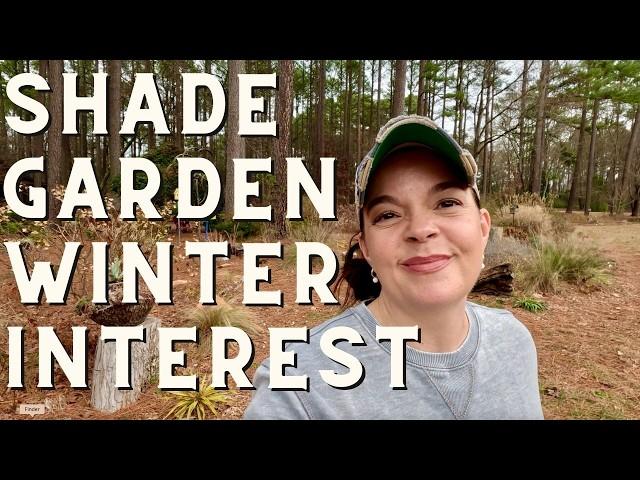 How to Create Winter Interest in Your Shade Garden