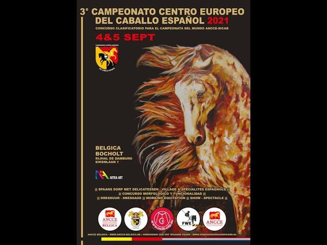 3º Campeonato Centro Europeo del Caballo Español.