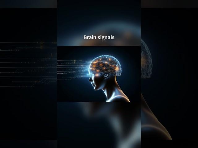 Neuralink ? Elon Musk planning to make CYBORG ? Brainchip | SPACE X | First human implant #neuralink