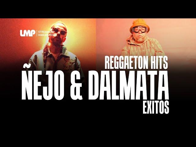 Nejo y Dalmata Reggaeton Exitos