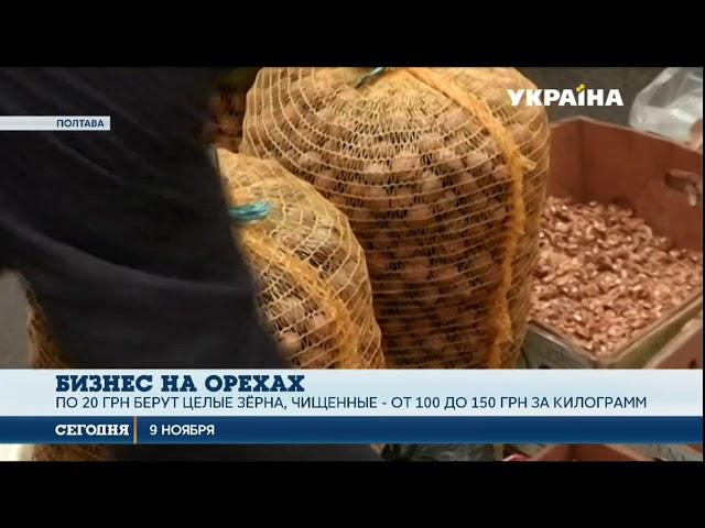 Украинцы организовали успешный бизнес на орехах