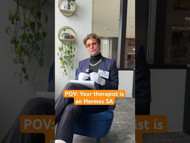 POV: Your therapist is an Hermes SA