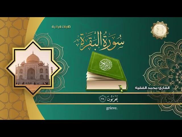 Al.Baqra Sheikh@muhammad Al Faqih#quran #viralvideo #whatsapp #allah