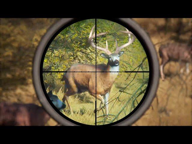 Hunting HUGE Whitetail DEER and TROPHY Elk in Hunter: Call Of The Wild