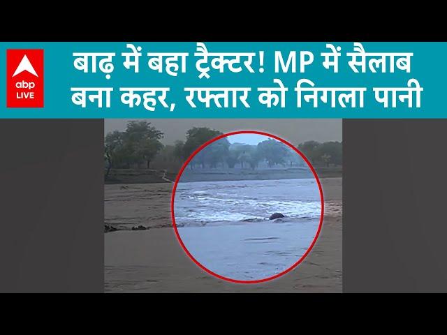Madhya Pradesh News: ट्रैक्टर को भी बहा ले गया पानी! MP में बारिश बनी मुसीबत | ABP LIVE