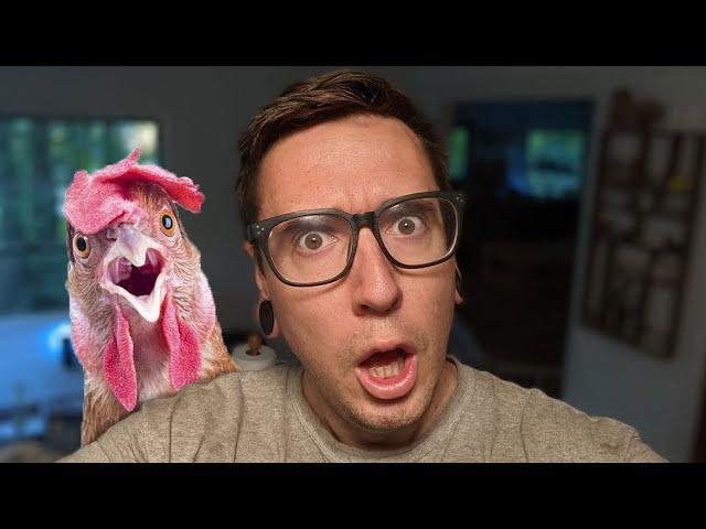 WHO DO YOU THINK YOU ARE?! A Re-introduction to Old Redding Farm