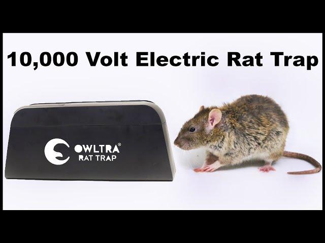 Owltra Infrared Electronic Rat Trap. 6,000 - 10,000 Volts. Mousetrap Monday.