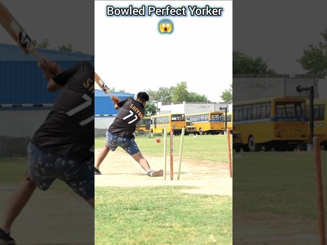 Bowled by a Perfect Yorker  #shorts #shortvideo #youtubeshorts