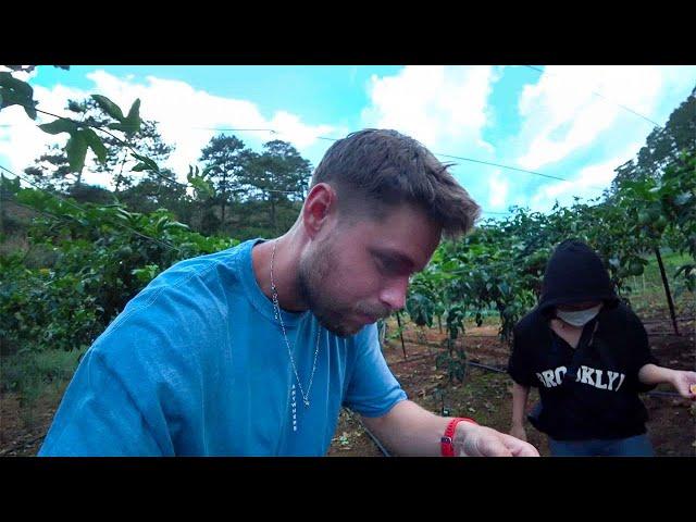 Picking fruit with my girlfriend