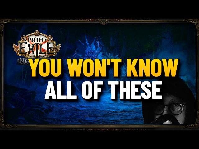 45 Secret Features Hidden in Path of Exile | Part 1