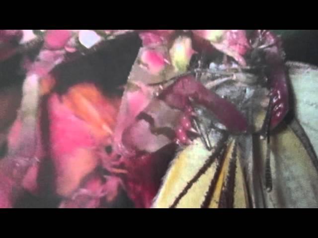Как сшить юбку с фалдами от линии талии.How to sew a skirt with folds from the waist line.