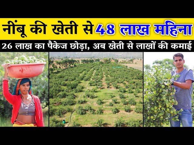 26 लाख का पैकेज छोड़ा अब, नींबू की खेती से 48 लाख महिना// Lemon Farming by TCBT Technology