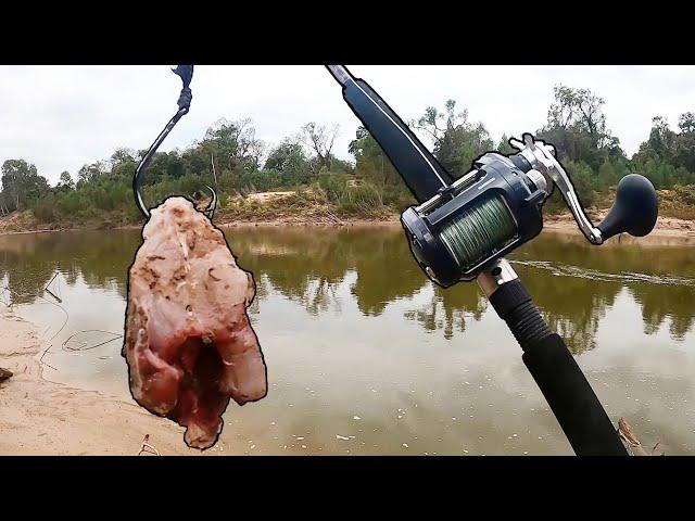 This Is Why You Throw BIG BAITS In the River! (150lb MONSTER!!!)