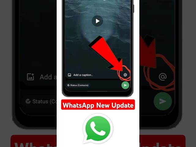 whatsapp new update | whatsapp status mention update | whatsapp new features #shorts #whatsapp