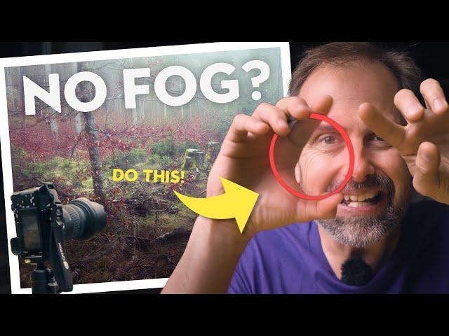 This Simple Trick Makes Woodland Photography Much Easier