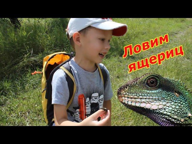 VLOG: Ловим ящериц. Крутая игра - охотник за ящерицами.