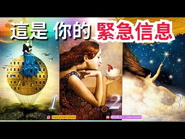   現在 你需要接收的訊息｜這是給你的緊急信息｜為你帶來 好運 與 指引️ 有字幕 🟣無時間限制占卜 🟡  #塔羅 #占卜 #字卡 #tarot #oracle #愛情 #事業 #好運