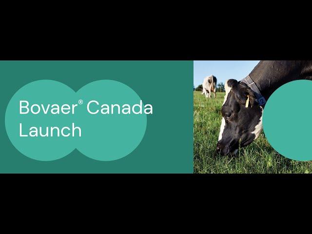 Bovaer® Canada Launch:  A dsm-firmenich Webinar