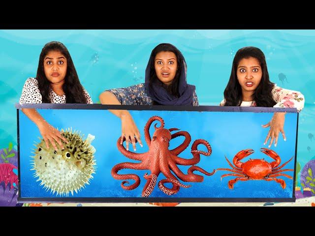 WHAT’S IN THE BOX UNDERWATER CHALLENGE  | നല്ല എട്ടിന്റെ പണികള്‍ | PULLOTHI