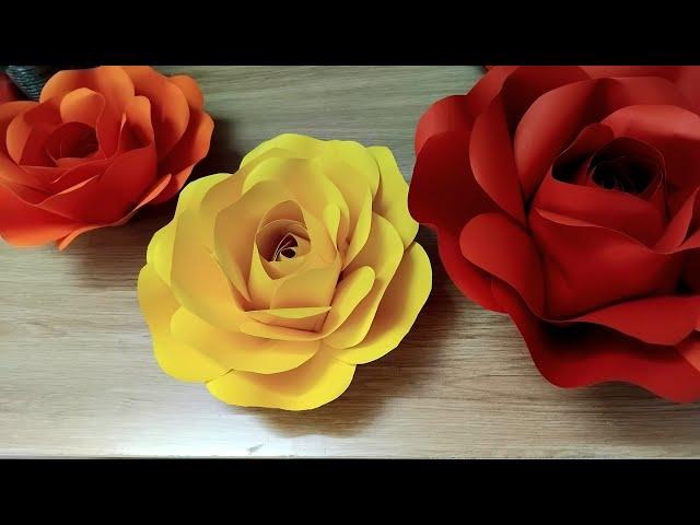 DIY - Paper Rose Backdrop - Cách Làm Hoa Hồng Giấy Khổng Lồ Backdrop - Lana Paper Flowers