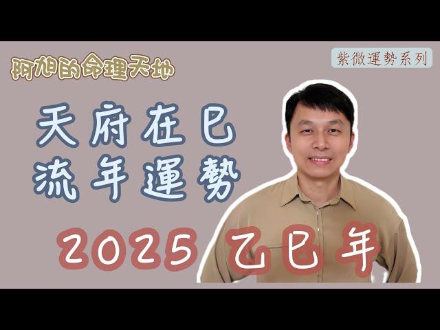 【紫微斗數】天府在巳 流年運勢｜2025 乙巳年